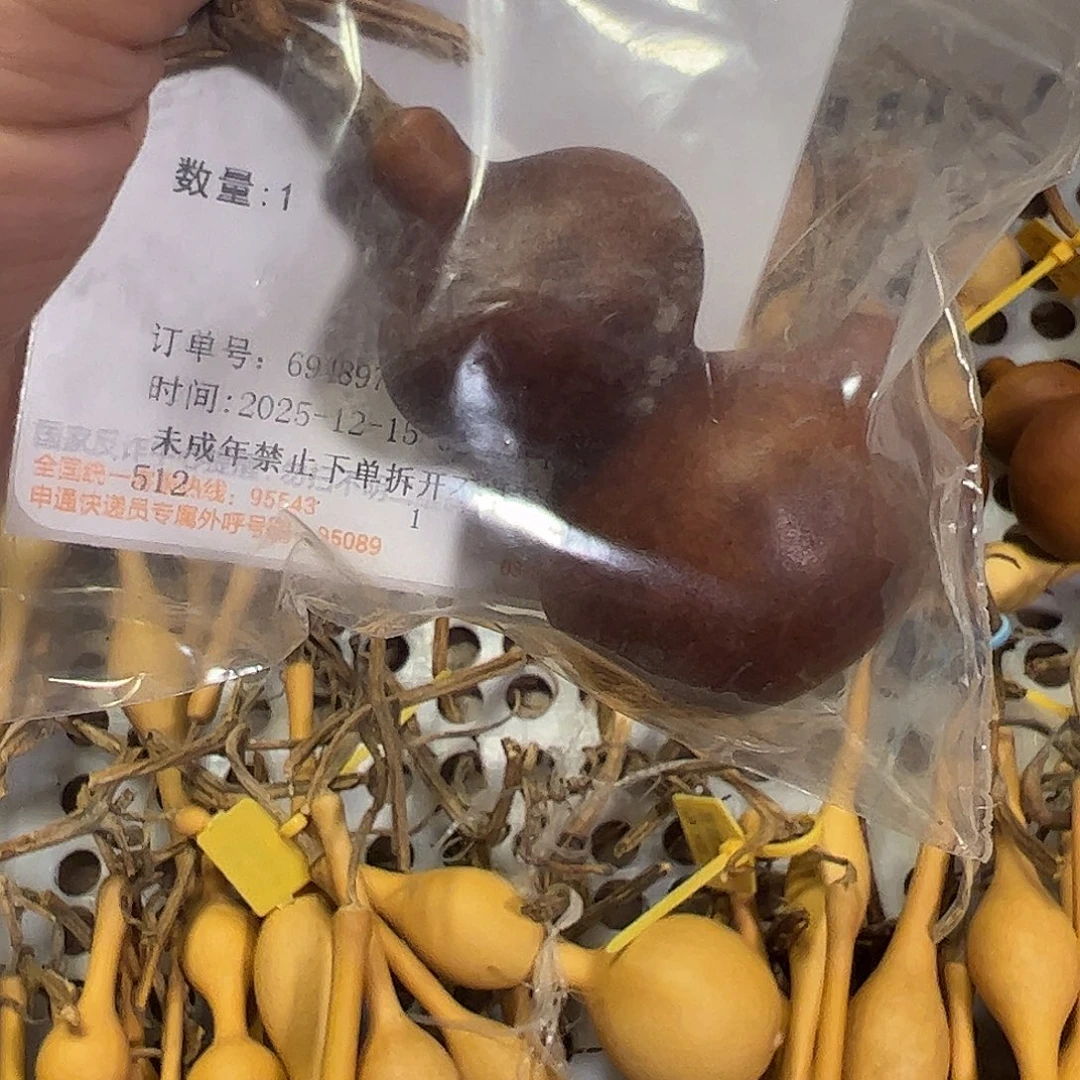 辉***1蚂蚁蚂蚁蚂蚁蚂蚁