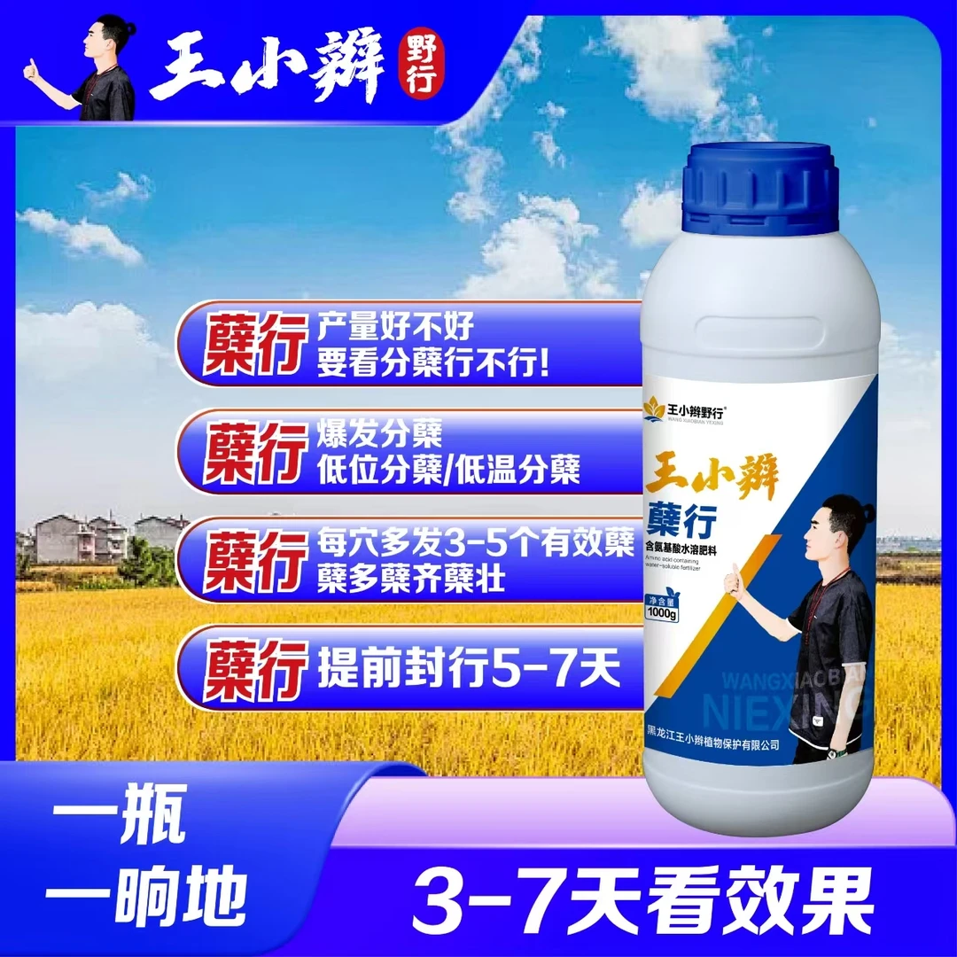 王小辫《分蘖肥》有效低位分蘖，没穴多发3-5片有效蘖免费试用