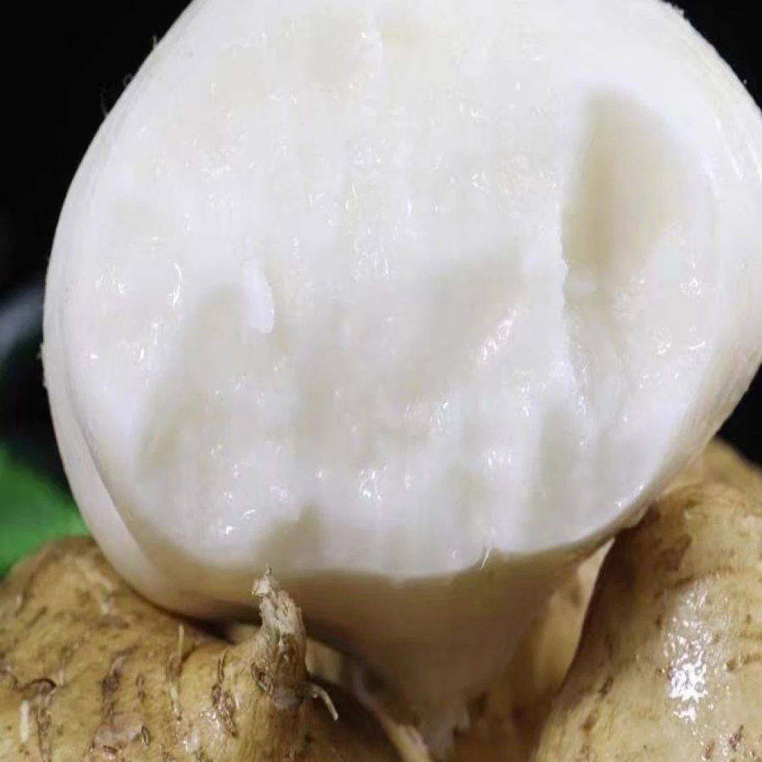 湖北天门现挖凉薯地瓜清甜可口低脂肪健康应季水果