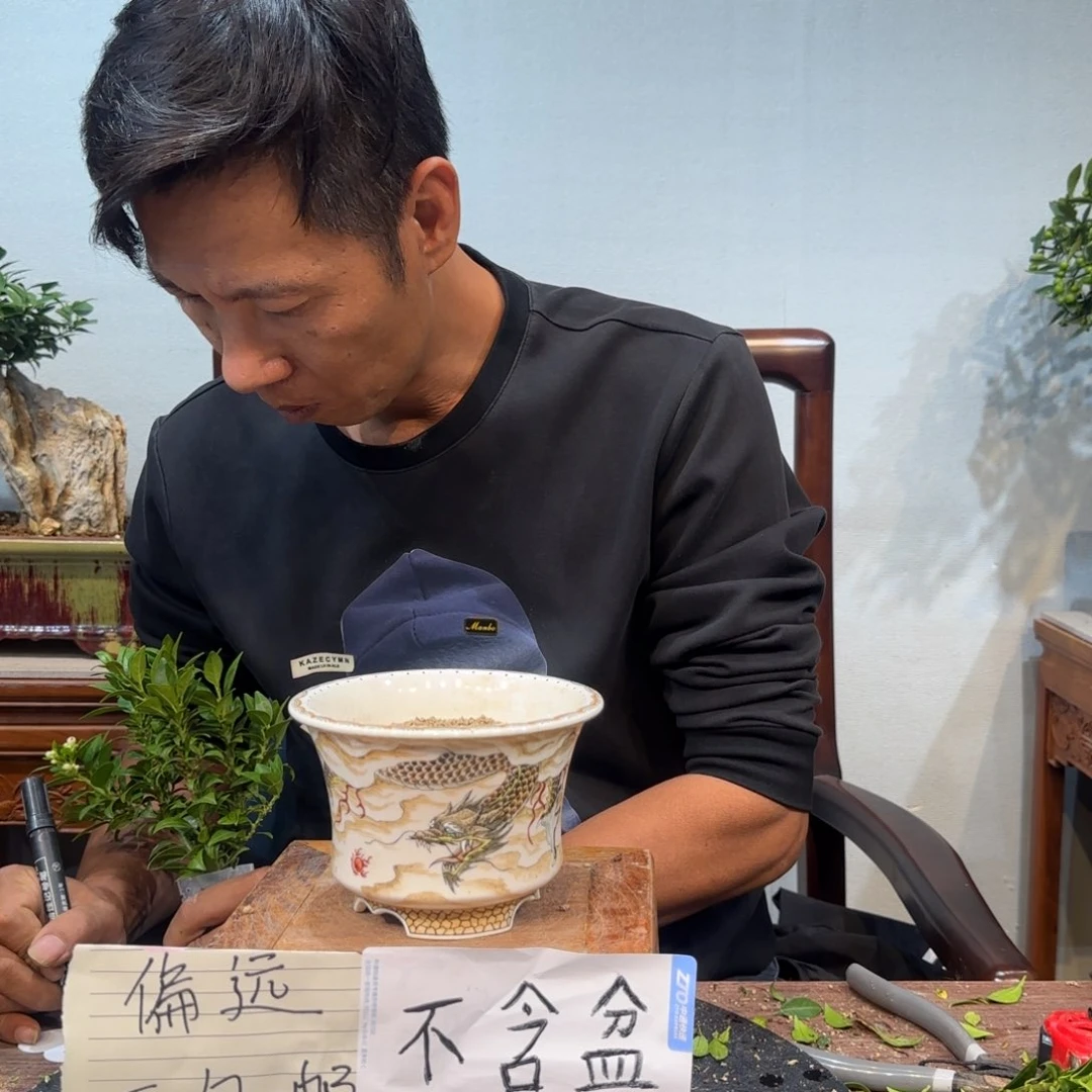 当前无花朵，栽培后可花朵聚***流