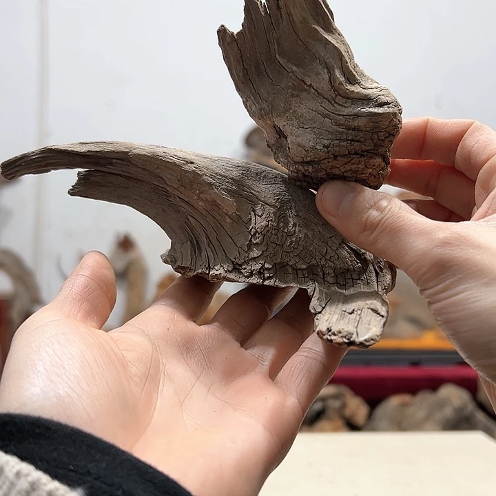 柏木二**外我们的生活也是如此