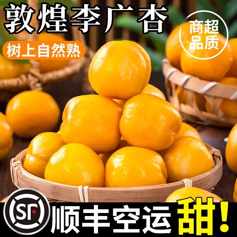 【顺丰空运】李广杏敦煌水果新鲜杏子整箱当季时令甘肃特产包邮