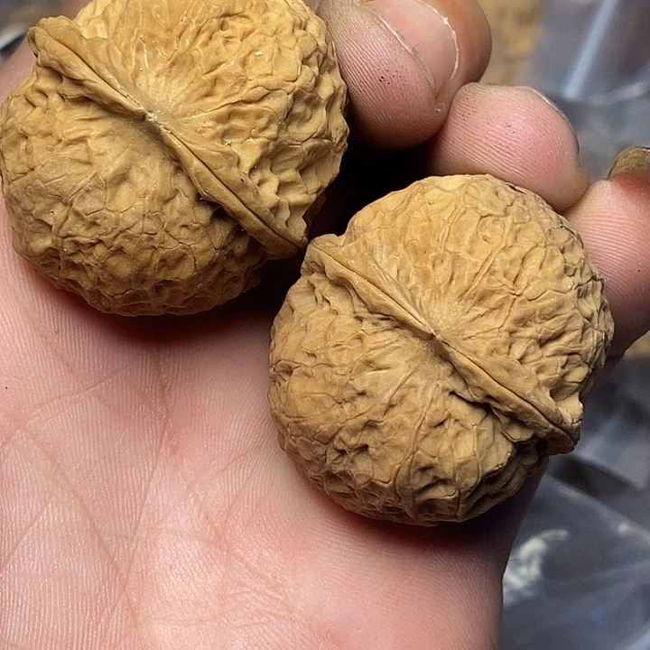 把件文玩核桃云南铁核桃54