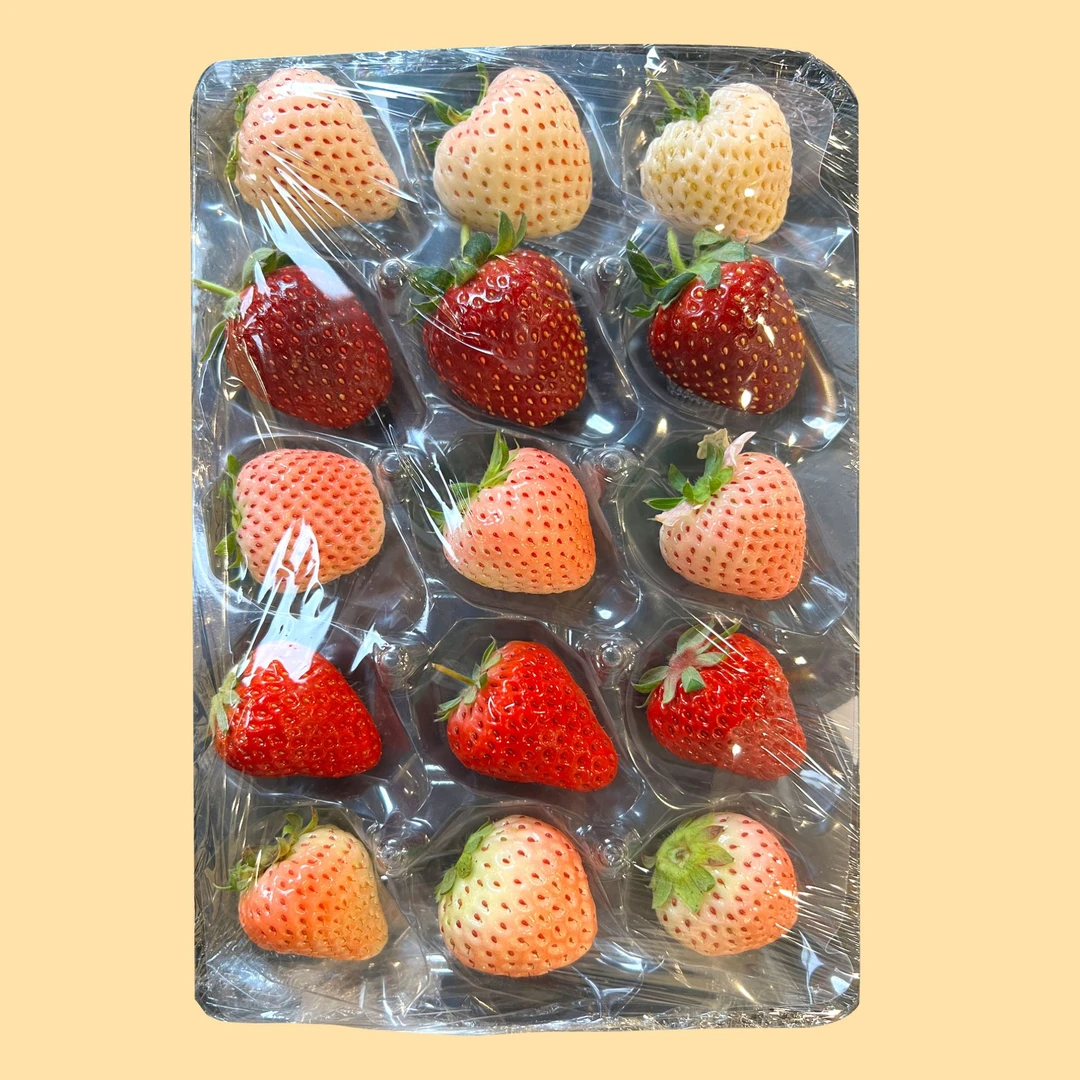 【小小果试吃装4色彩莓颜色随机发】丹东彩莓顺丰包邮现摘现发