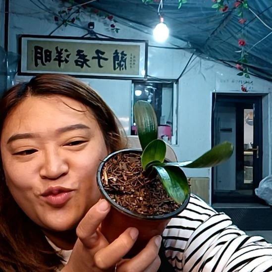 7***琴70后佛光一颗39元