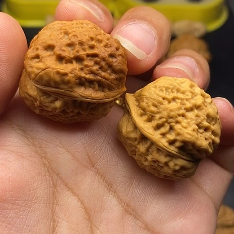 文玩核桃把件31尺小青蛙
