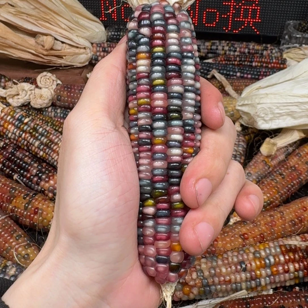 柏香籽/百香籽吊坠念*