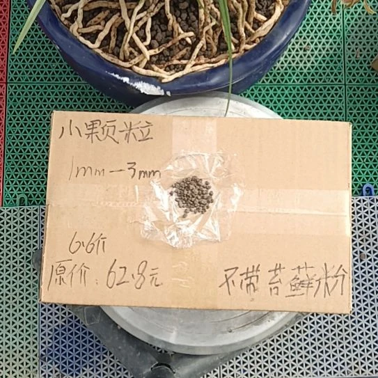 登***登兰菌黑山土小颗粒6.6