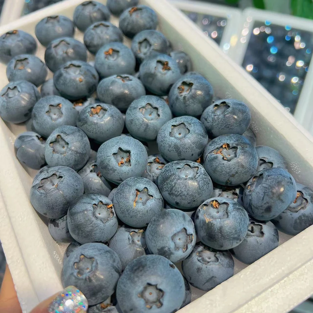 特级云南满霜大蓝莓1箱约450g（17mm-21mm）优瑞卡辽宁省大连市