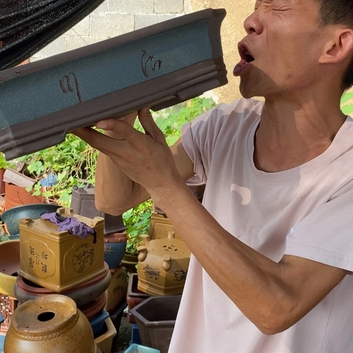紫砂紫砂紫砂紫砂
