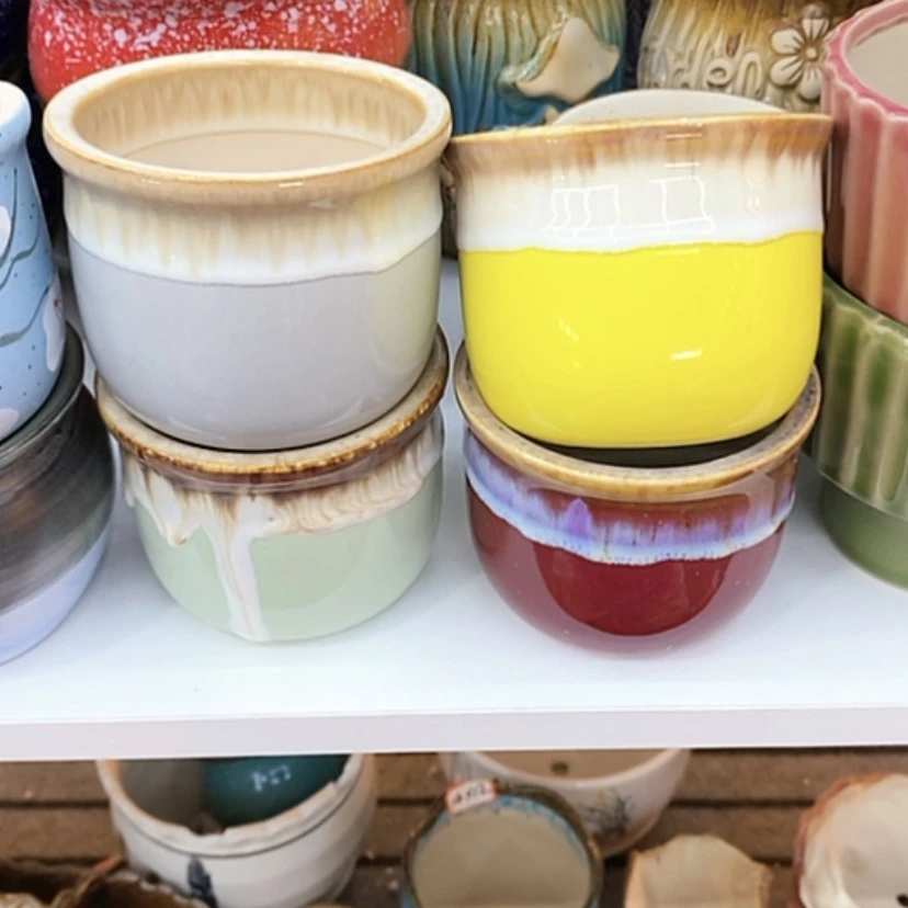 【闪购商品】福利花盆9.99包邮
