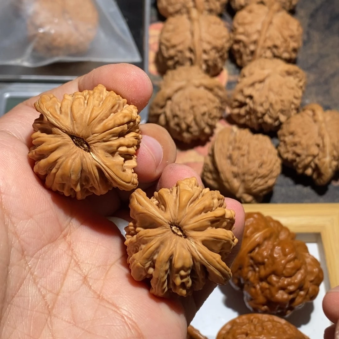 文玩核桃把件子*35楼子