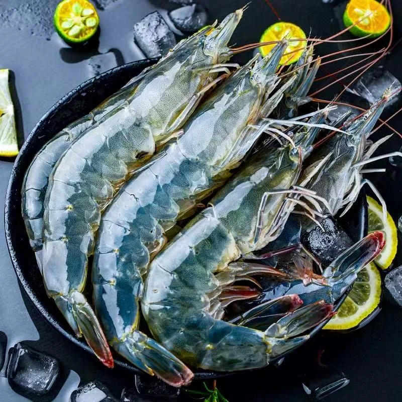 海洋大虾 15厘米左右/只 到手4斤 65只左右 冷链发货