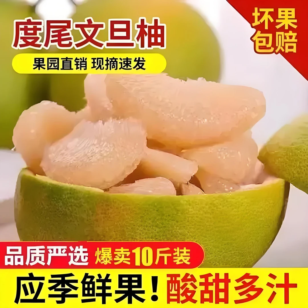 福建仙游度尾文旦柚正宗老树当季新鲜现摘孕妇水果