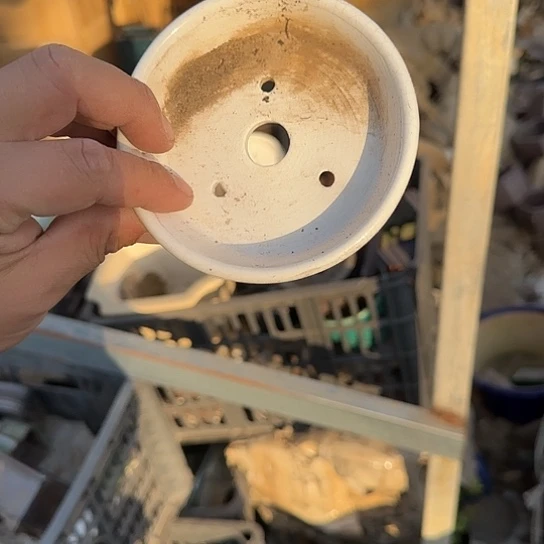 一哈来不急不快嘛亲爱你不要