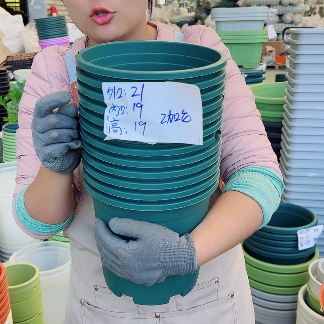 瑕疵2加仑墨绿色10个无托