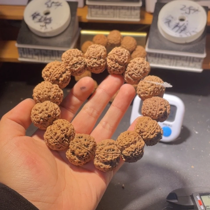 猪***鬣手串金刚菩提这个