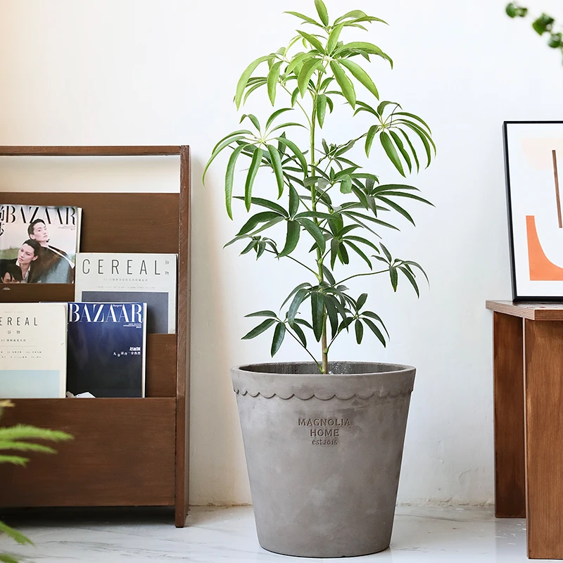 侘寂风落地水泥花盆陶盆大号陶瓷绿植大口径陶土复古客厅琴叶榕