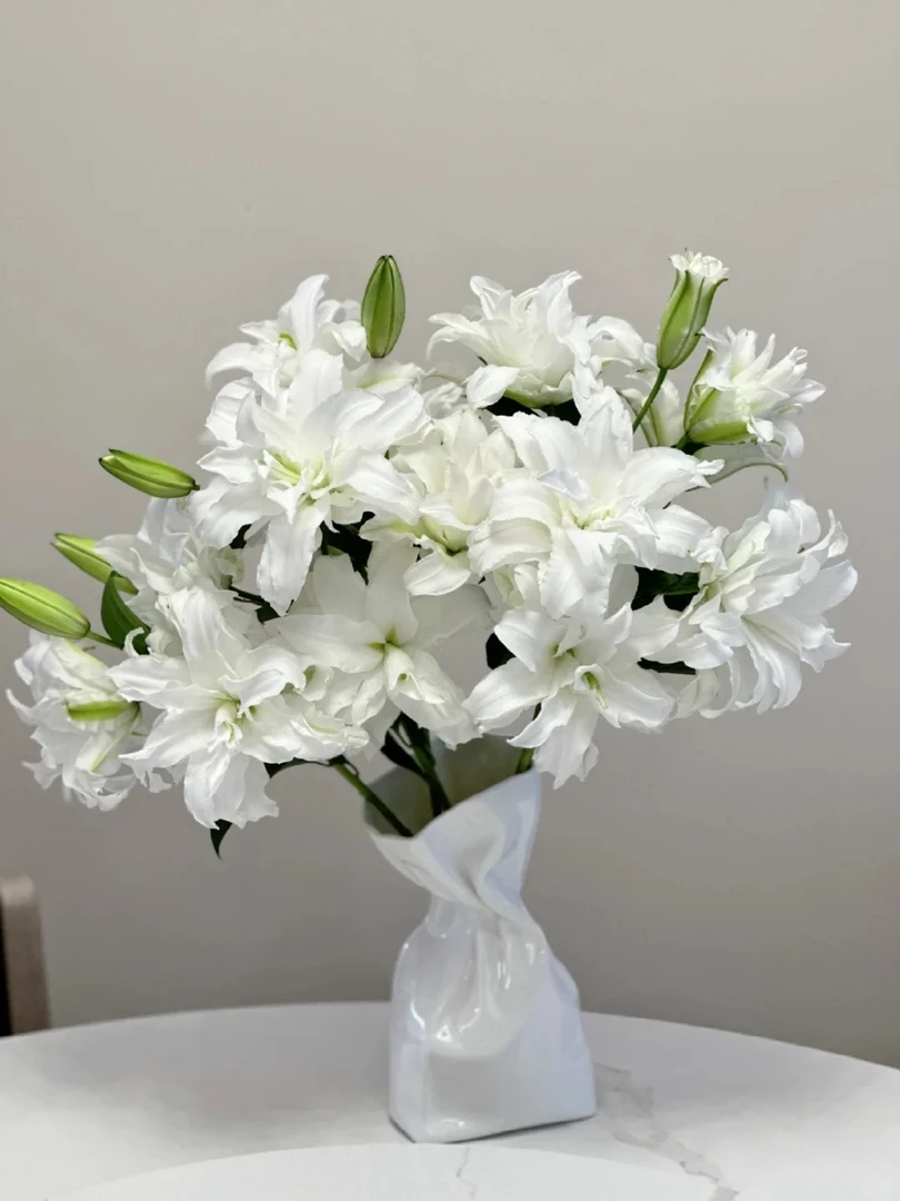 婵之语花咖优选 安吉拉重瓣百合