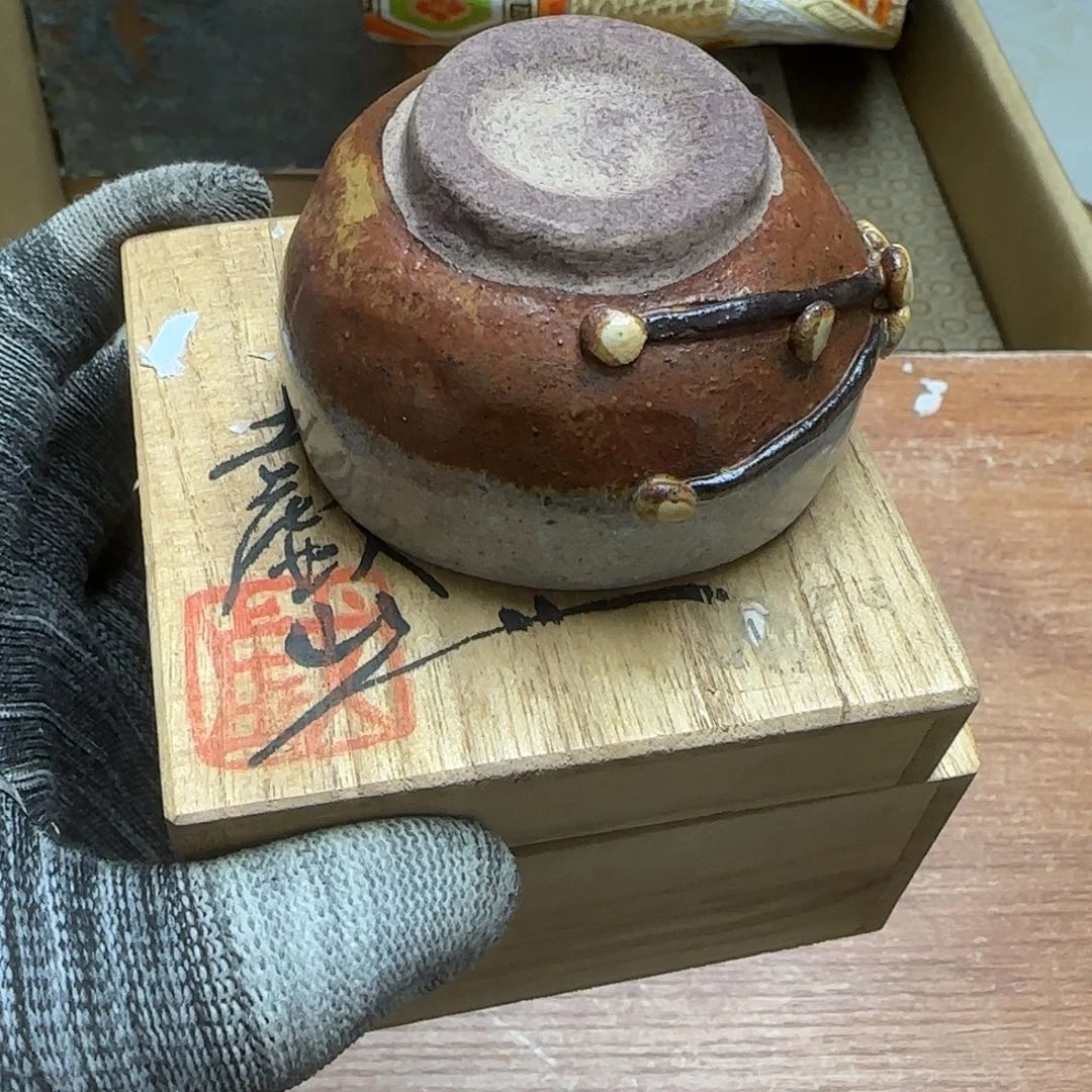 茶宠色彩丰富多样化地融入