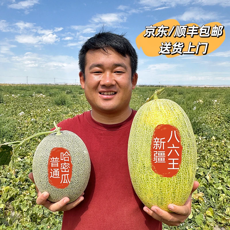 【京东顺丰包邮】新疆八六王哈密瓜产地直发脆甜多汁新鲜采摘