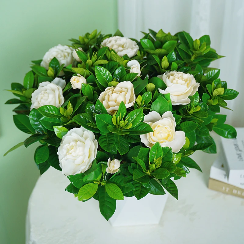 浓香型栀子花盆栽多季开花室内外客厅花卉绿植基地直发观赏花卉