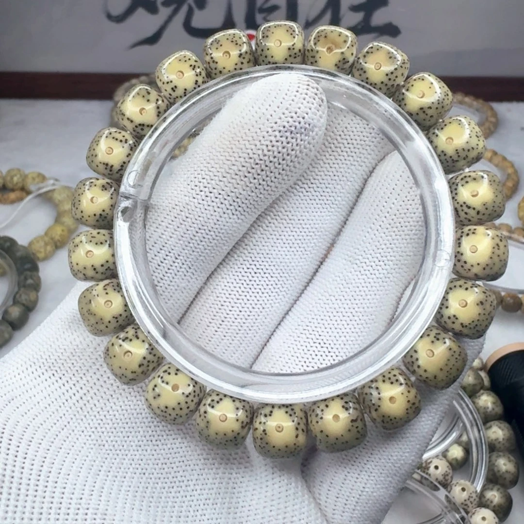 手串星月菩提10.5尺寸黄金瞳 105