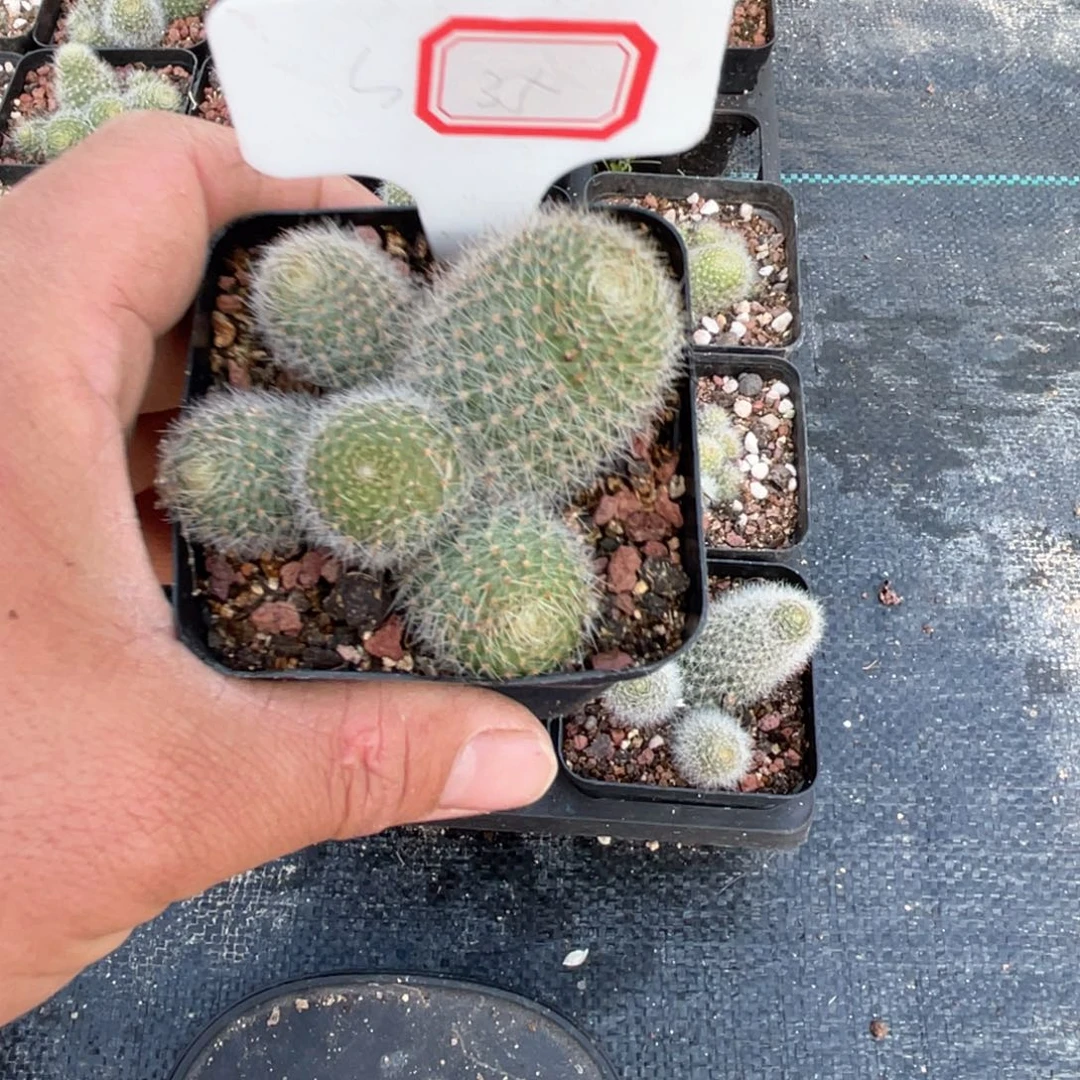 35往事多的是一段感情