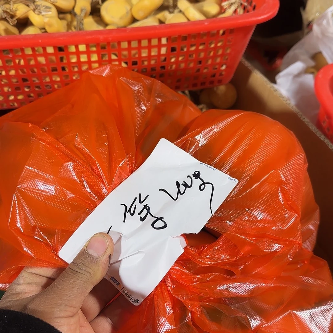 一***鲤葫芦葫芦处理葫芦葫芦葫芦葫芦