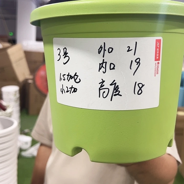 特价3号四季口21高18混色10个无托