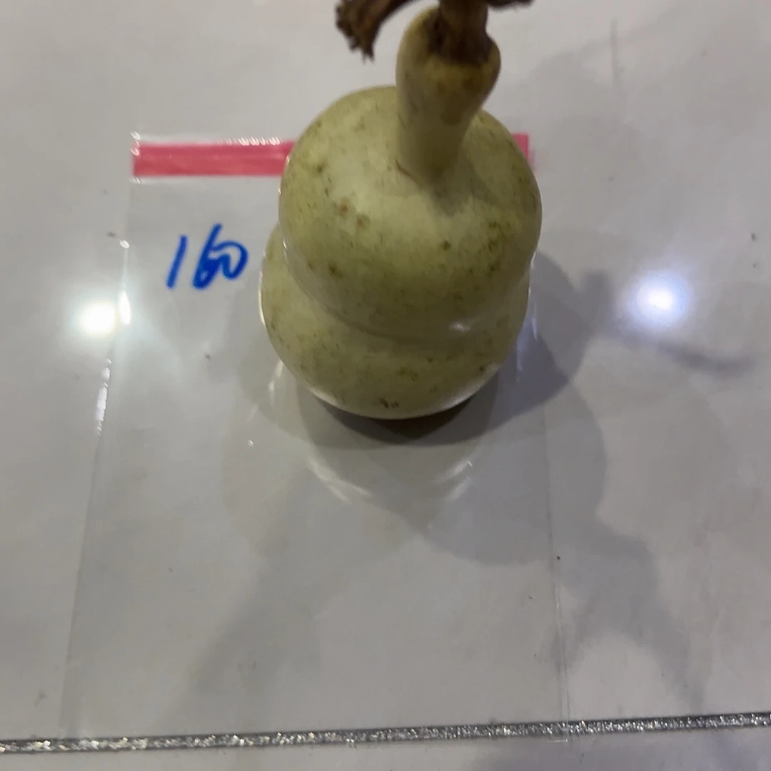 抖***频青皮不包成青皮不包成