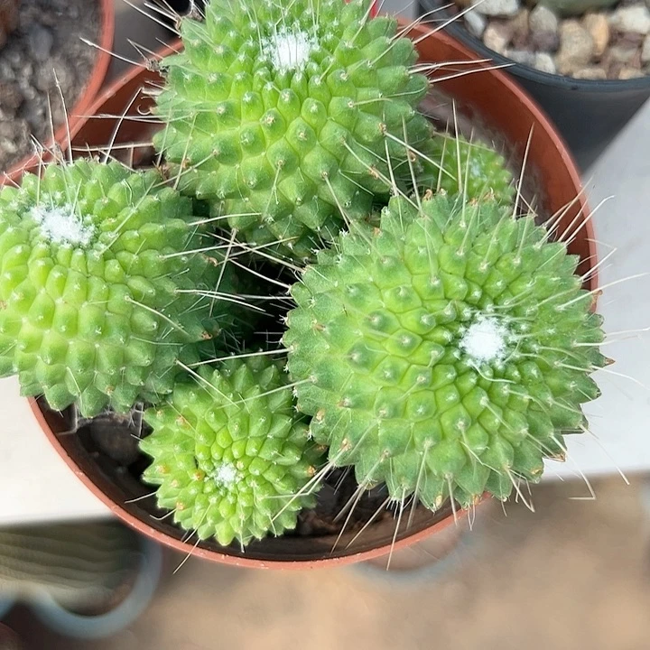 缘***分恭喜发财的日子里也有