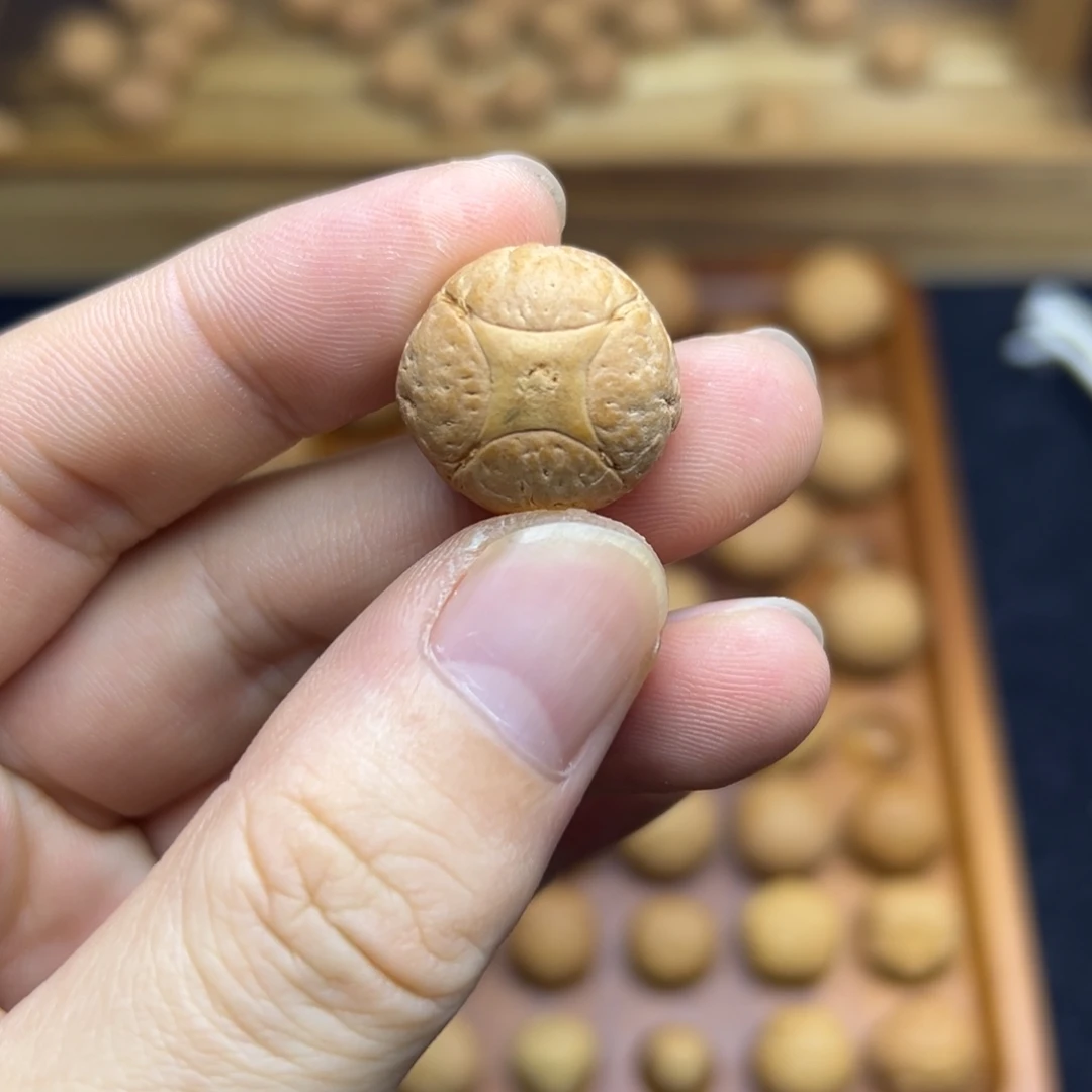 凤眼菩提手串19.9麒麟眼