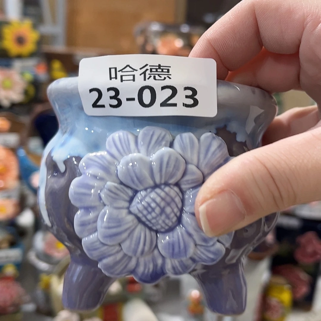 【闪购商品】红陶2323