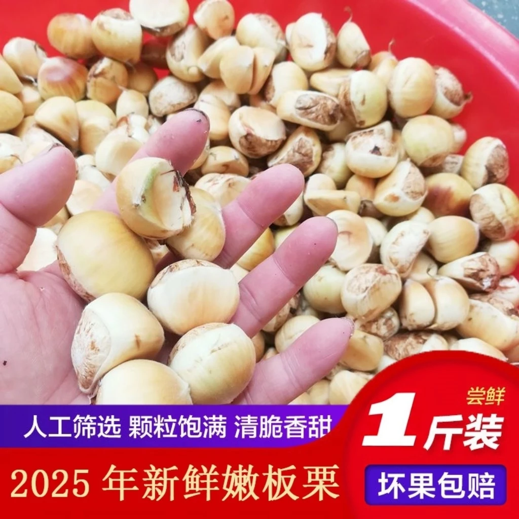 顺丰包邮【白花皮板栗好剥皮】2025金寨高山新鲜白花板栗少许花红
