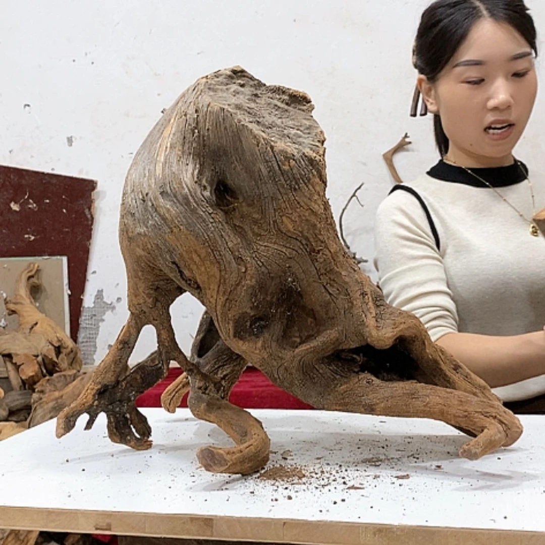 【闪购商品】柏木h*i我们都是好孩子