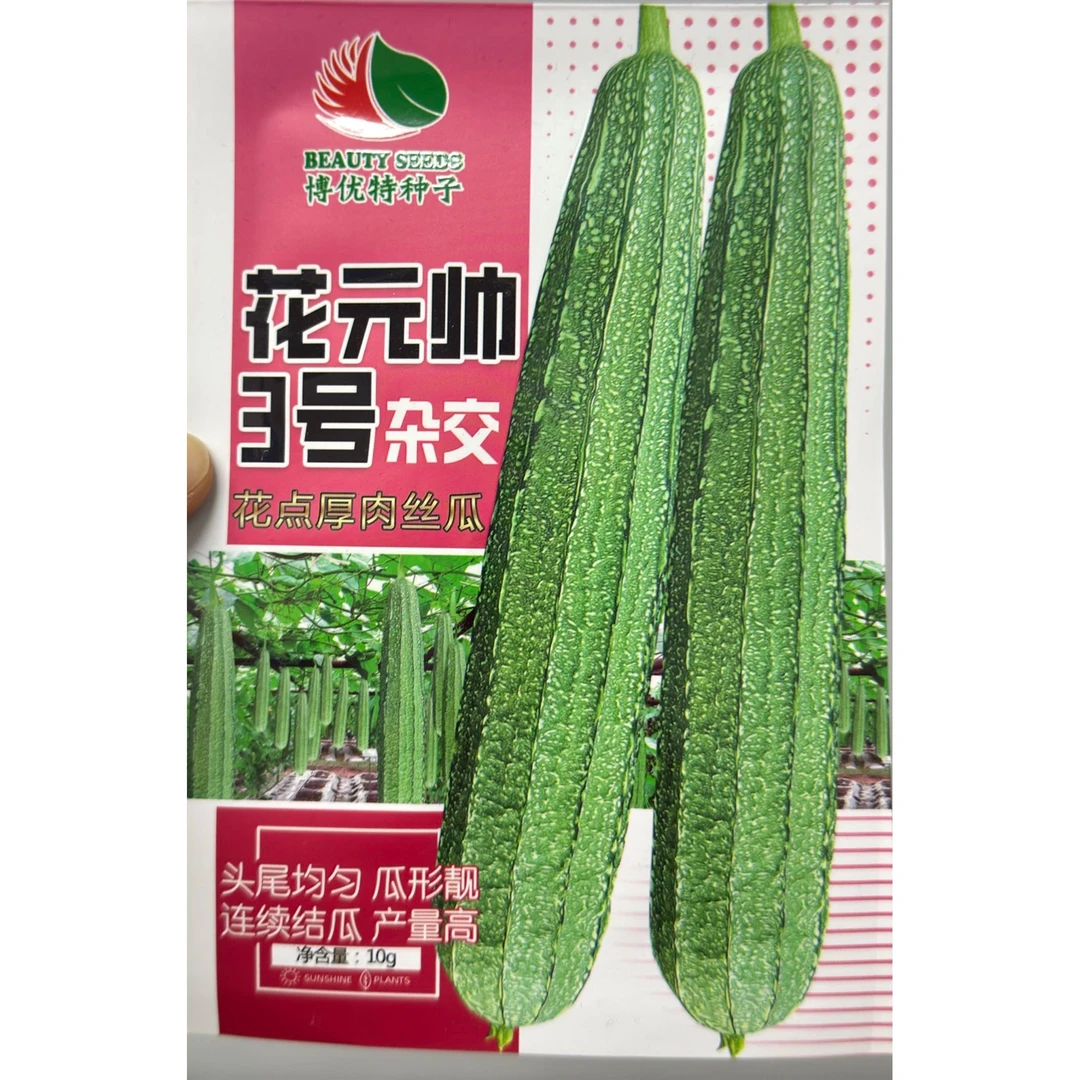 早熟耐寒封闭花元帅丝瓜种子，20几天来瓜，瓜长30-丝瓜苗秧苗花园