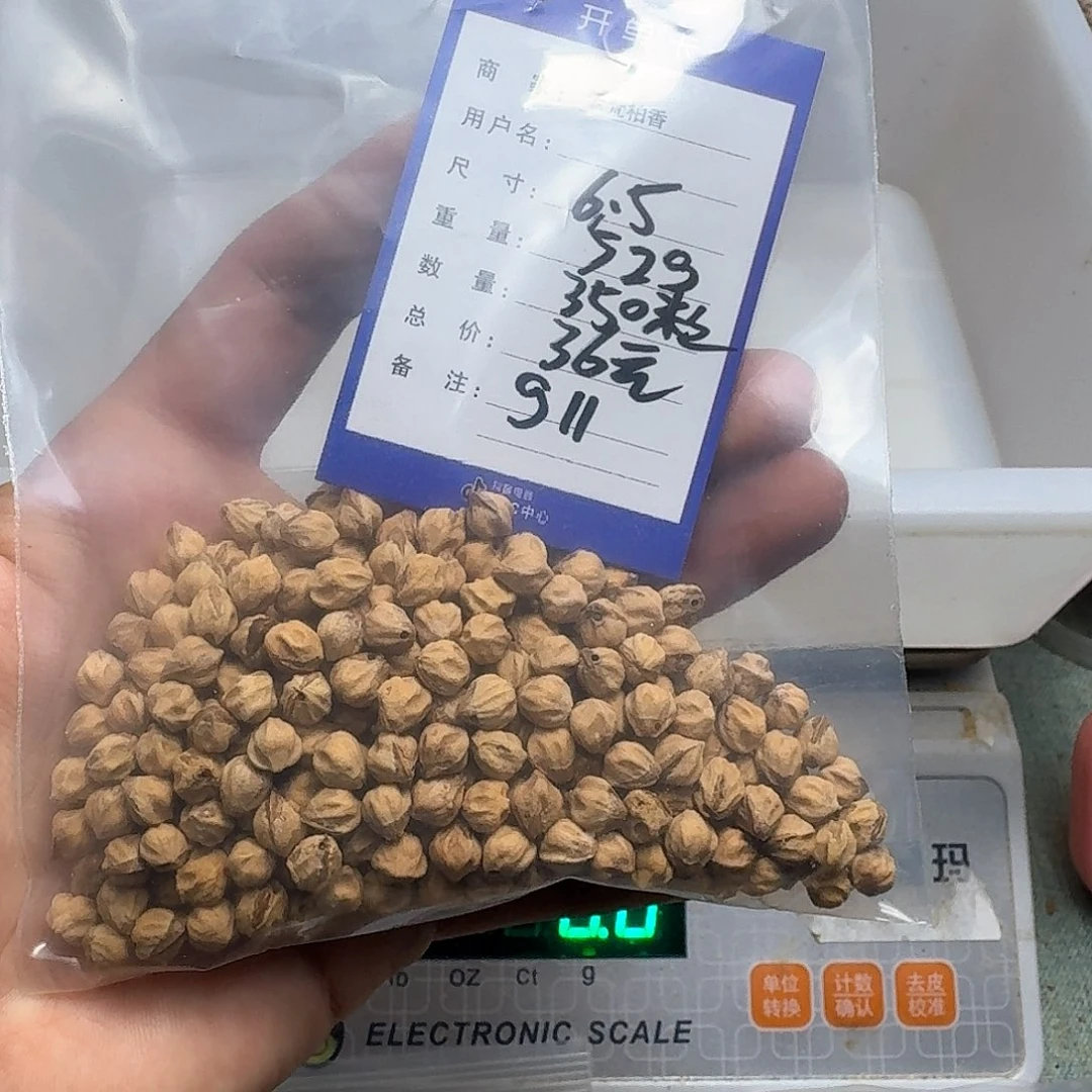 柏香籽/百香籽吊坠?****?