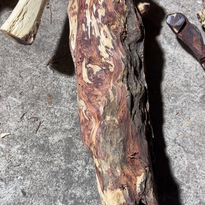 把件黄花梨/降香黄檀