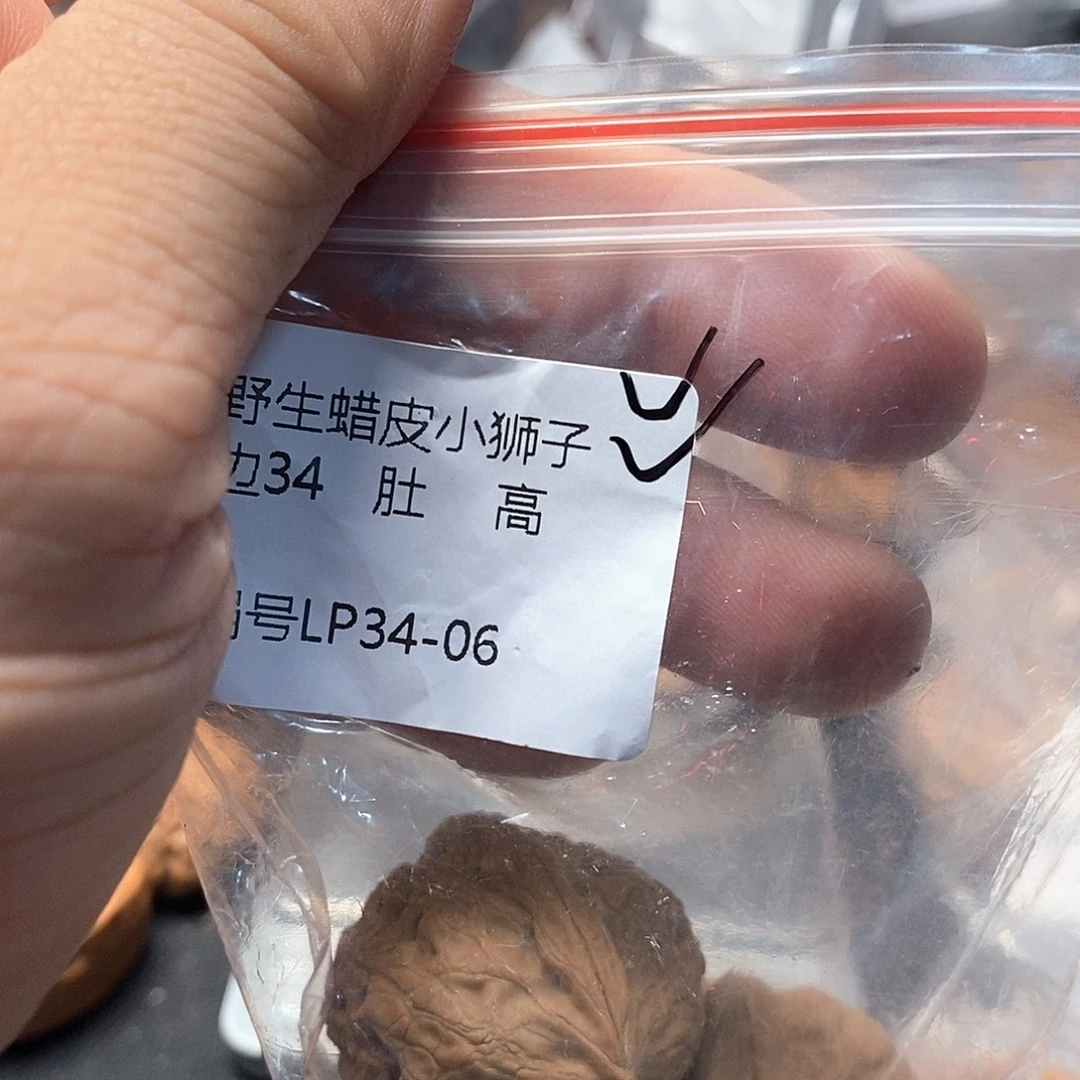 2****文玩核桃蜡皮小狮子34-06
