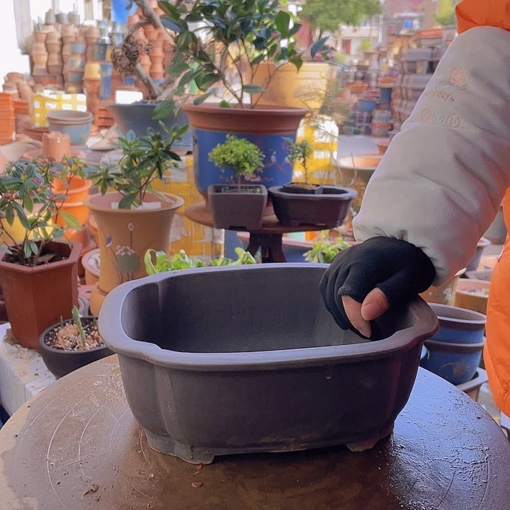 紫砂宜兴紫砂海棠30