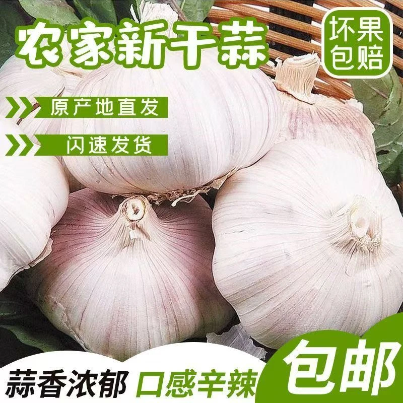 到手五斤24年新干蒜大蒜头白皮干蒜净重5斤