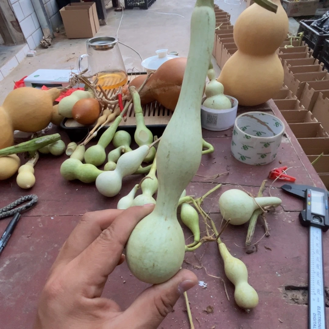 一***诺文玩葫芦吊坠项链