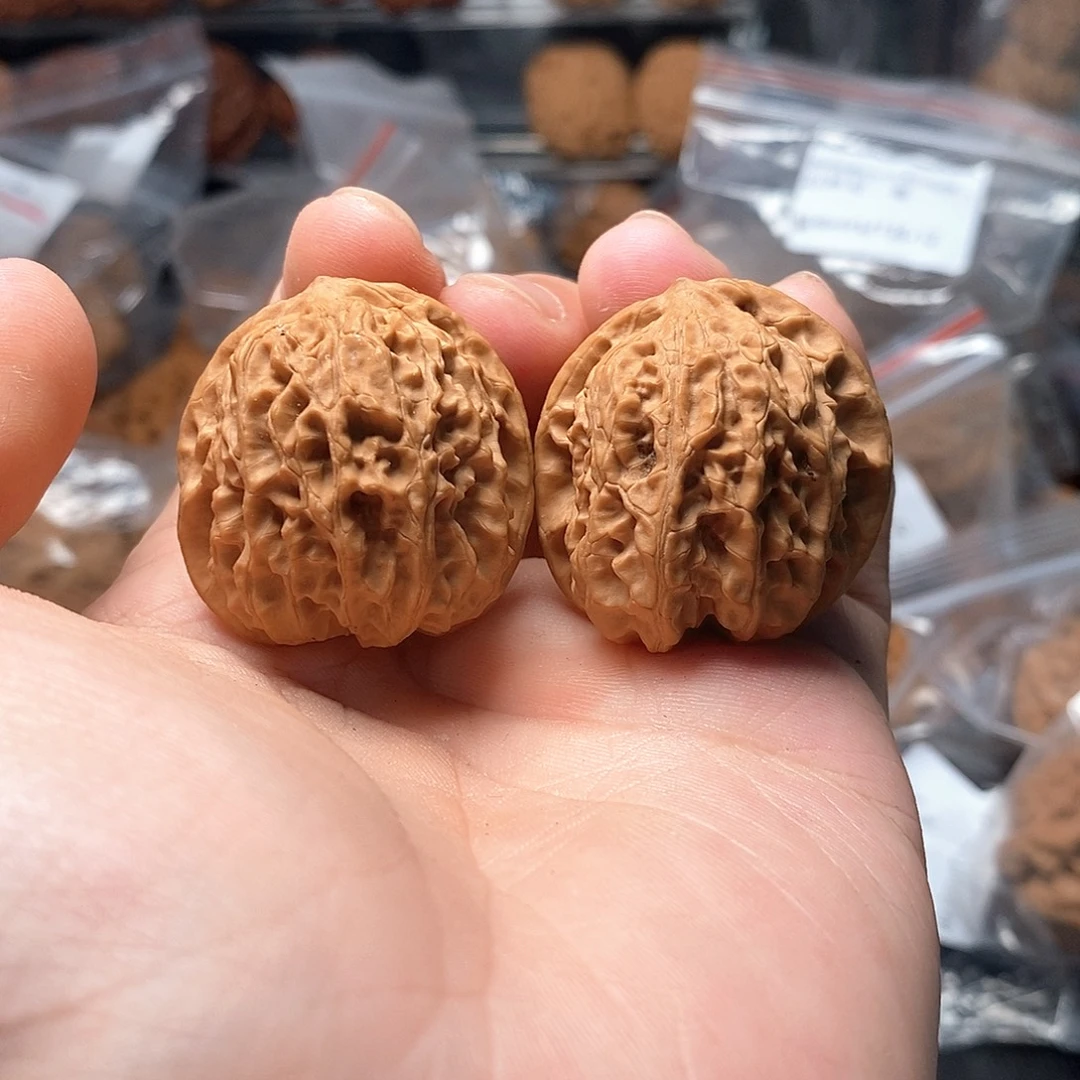 1文玩核桃龙珠33-205