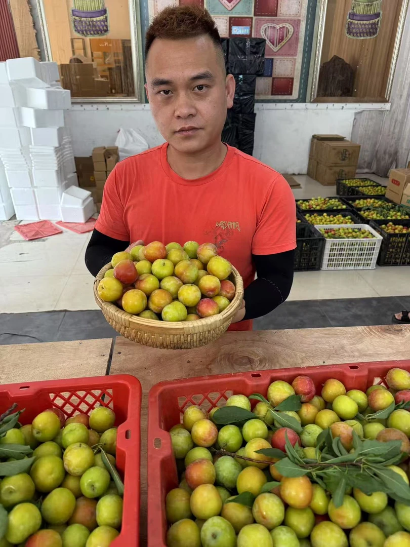 阿布助农广西新鲜三月李