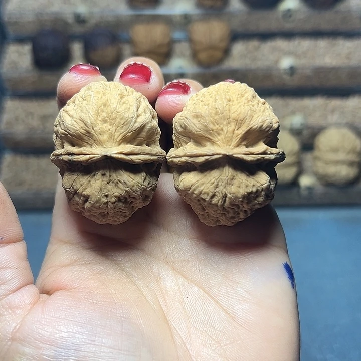 文玩核桃把件2号九尾狐42+尺