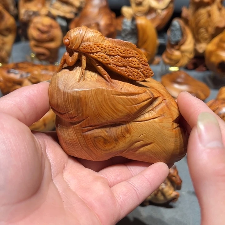 柏木（崖柏）点点关注