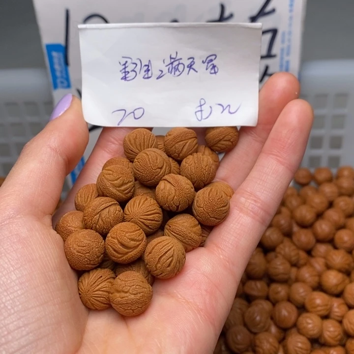 桃核手串12mm左右野生满天星20颗（打孔