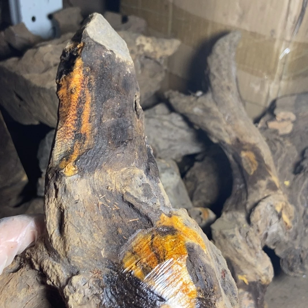 非洲檀香无事牌贡木