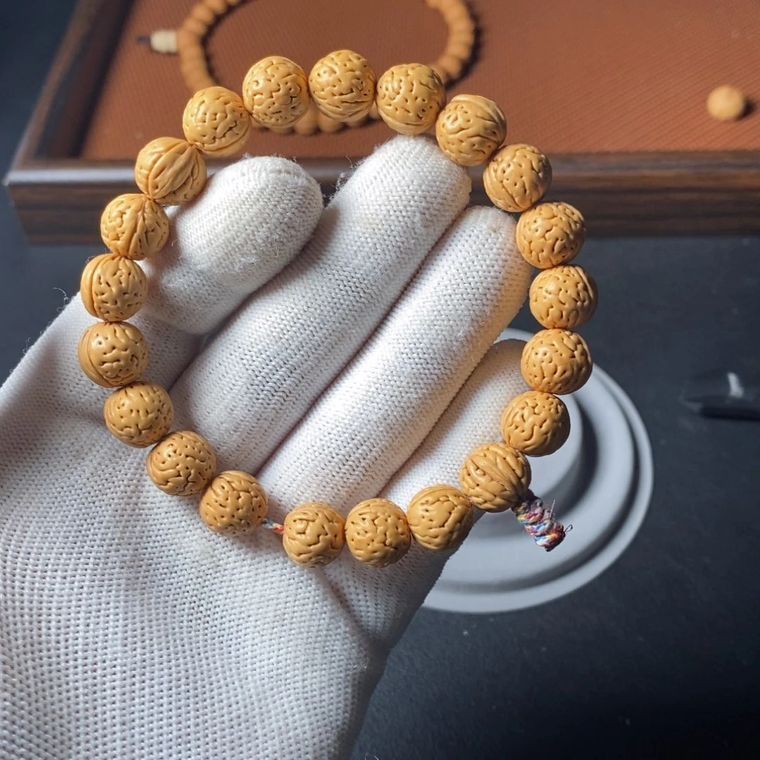 好***霍磊落出品7健健康康